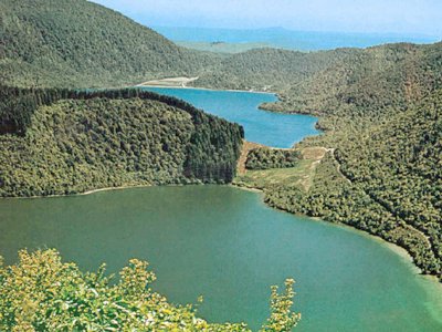 Rotokakahi (Green Lake) and Tikitapu (Blue Lake)